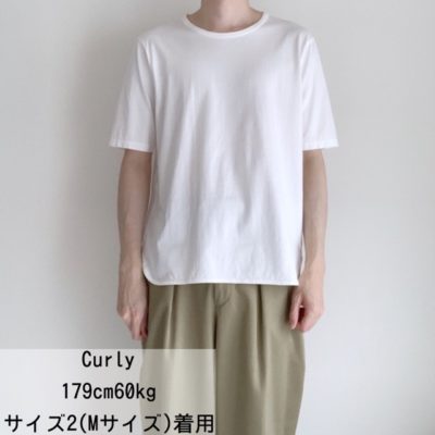 Curly着画