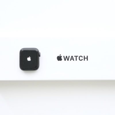 AppleWatchSEが入門として最高