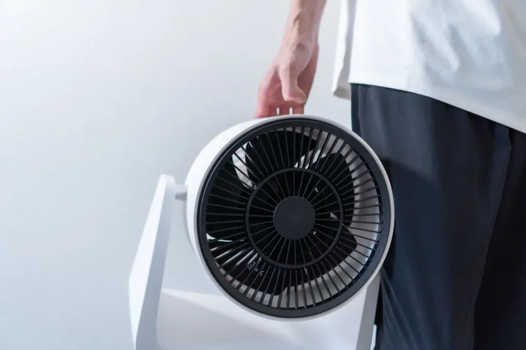 BALMUDA GreenFan C2を持ち運ぶ画像